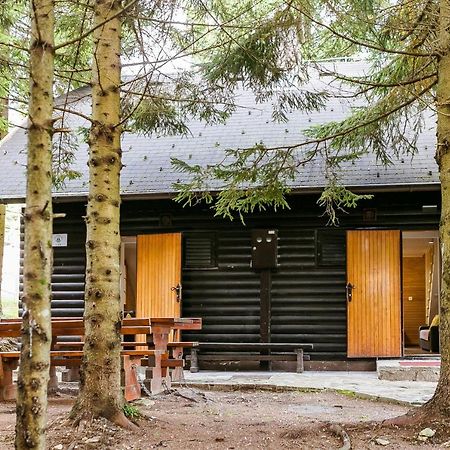 Chalet Liza & Rozi Zgornja Loznica Eksteriør billede